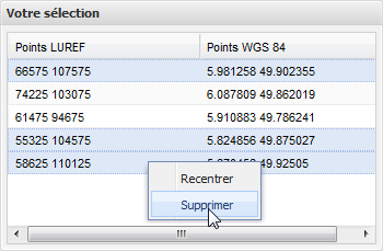 Seule la suppression est possible lorsque le menu contextuel porte sur plusieurs éléments